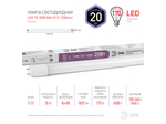    STD LED T8-20W-865-G13-1200mm G13  20     