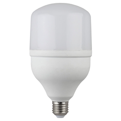 Светодиодная лампа ЭРА LED smd POWER 30W-4000-E27 (20/420)